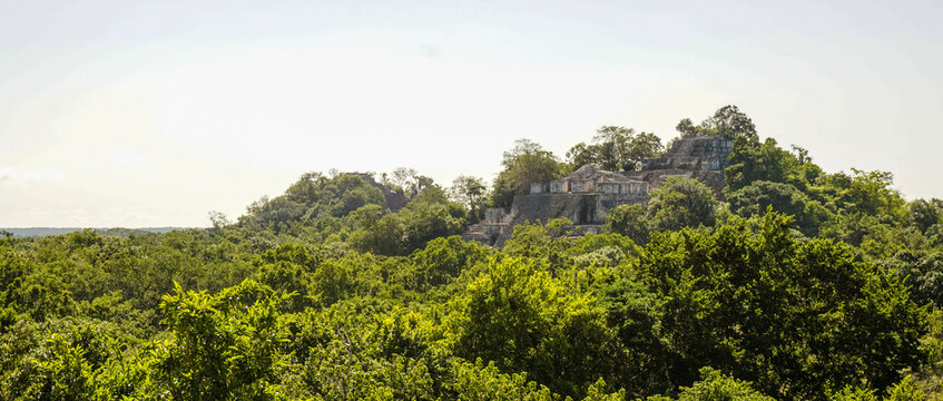 Ancient Maya ruins of Calakmul in the thick jungle and tree landscapes on a sunny day in the Yucat&aacute;n Peninsula of Mexico.