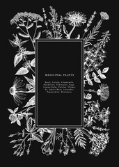 Vintage medicinal herbs card or invitation design on chalkboard. Hand drawn flowers, weeds and meadows illustrations. Summer plants template. Botanical background in engraved style. Herbs outlines