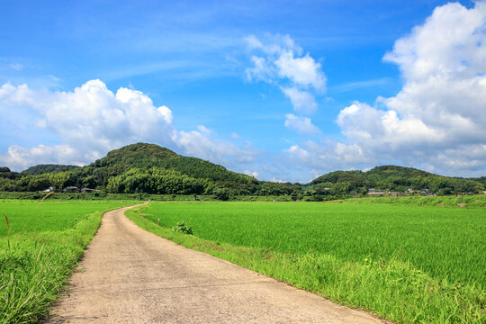 「田舎風景」の写真素材 | 3,445,792件の無料イラスト画像 | Adobe Stock