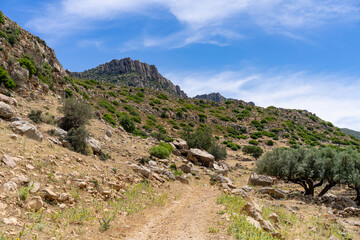 Naklejka premium The ABANDONED BERBER VILLAGE OF ZRIBA OLIA in tunisia