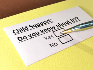 One person is answering question about child support.