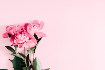Beautiful flowers composition of peonies. Pink peonies flowers on pastel pink background. Flat lay, top view, copy space © prime1001