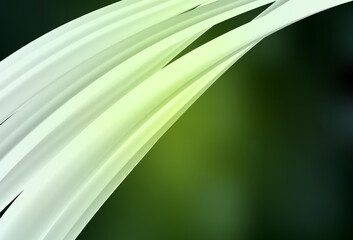 Dark Green vector abstract bright template.