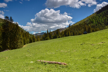 Tatry, Polana Kominiarska - Ścieżka nad Reglami © Ola i Eryk