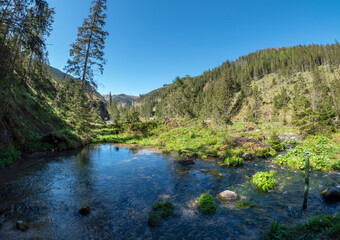 Wywierzysko Chochołowskie - Dolina Chochołowska - Tatry Zachodnie