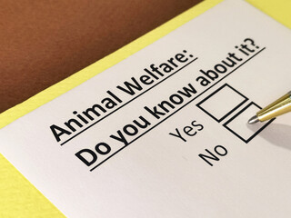 Obraz premium One person is answering question about animal welfare.