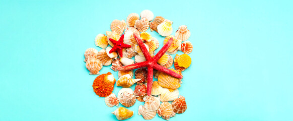 Red starfish against the background of seashells. Summer time or hello summer. Creative copy space