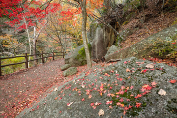 【2019年】山梨県甲府市・昇仙峡