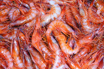 Red Shrimp, Recently Fished, Fish Market, Mediterranean Sea, Aguilas, Murcia, Spain, Europe