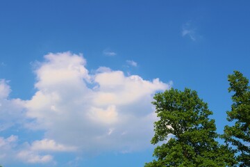 Obraz premium 新緑 青空 爽やか 6月 風景 