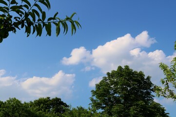 新緑　青空　爽やか　6月　風景　