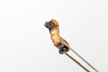 Grilled eel on white background