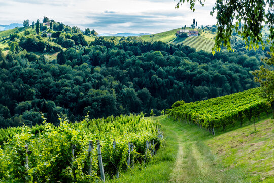 Weststeiermark