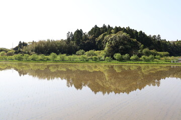 調整池
