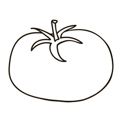 Vector cartoon tomato. Hand drawn line tomato 