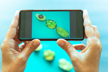 Taking a photo of avocado with smartphone. Smartphone capture with Avocado on blue background. Technology and food concept. Image.