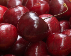 Slightly crushed very delicious cherries.Raw materials for the preparation of aromatic juice.