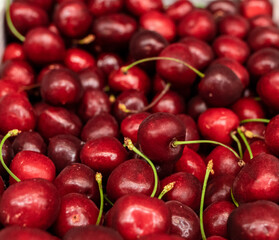 ripe cherries lies in a box in beautiful flat rows. Plenty of delicious juicy berries. High quality photo