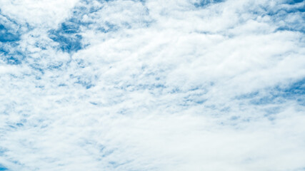 Fototapeta premium 青空・雲