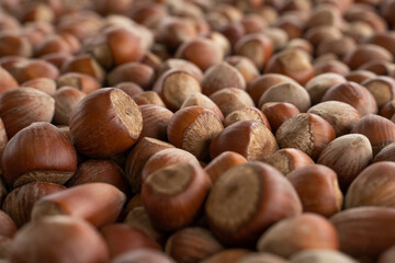 Close up hazelnuts. Hazelnut composition and backgorund. Turkish hazelnuts. organic natural food. food photos