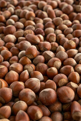 background hazelnuts. Hazelnut composition and backgorund. Turkish hazelnuts. organic natural food. nuts
vertical framing. food photos