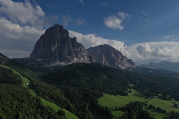 Naklejka premium default