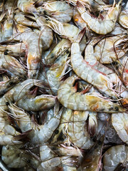 Big size prawns taken from AbuDhabi Fishmarket