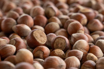 Close up hazelnuts. Hazelnut composition and backgorund. Turkish hazelnuts. organic natural food. close up art photo