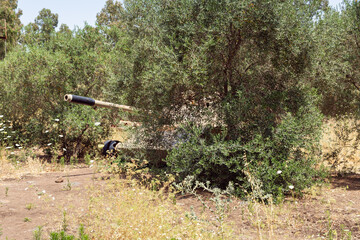 A battered  Syrian tank of Soviet manufacture is after the Doomsday (Yom Kippur War) on the Golan Heights in Israel, near the border with Syria