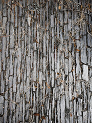 Thin stone paved pathway with pine needles