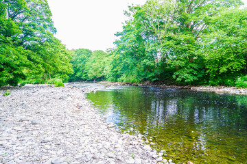 River Kent running over the rocks and pebbles with tree lined banks