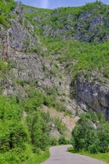 Fototapeta na wymiar Karst landscape Sohodol Valley
