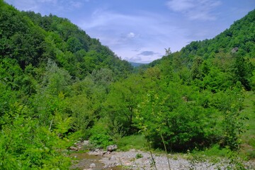 Fototapeta na wymiar Karst landscape Sohodol Valley