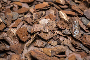 ウッドチップの写真素材