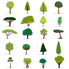 Fototapeta premium vector, isolated, set of trees, drawing in one continuous line