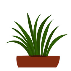 vector, isolated, potted plant flat style