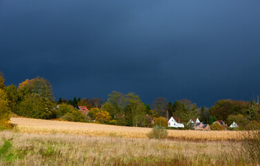 Dry grass and corn fields in the countryside in sunshine light with dark sky above, moments before thunderstorm.