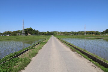 直線道路