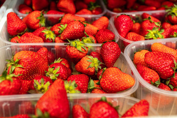 ripe juicy strawberries lie in disposable boxes. Plenty of delicious juicy berries. High quality photo