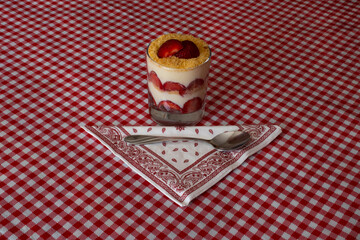 Magnolia with strawberry on white amd red plaid background