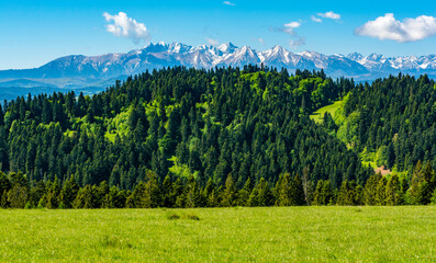 Idyllic landscape of hills and mountains in the spring season.