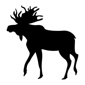 Bull moose. Flat vector illustration. Simple silhouettes. Isolated on white.