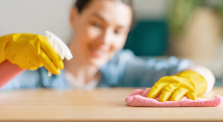 Woman doing cleaning the house