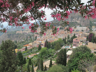Panorama of Taormina on a background of pink oleander. The coast of Sicily. Delicate pink oleander...