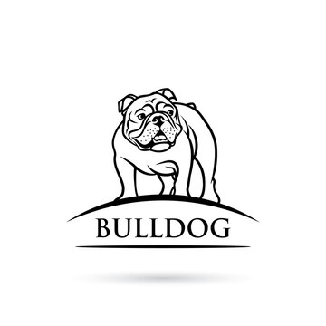 English bulldog - isolated outlined vector illustration

