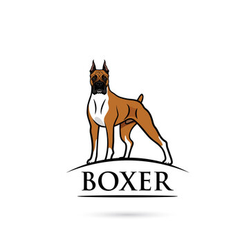 Boxer dog - isolated outlined vector illustration
