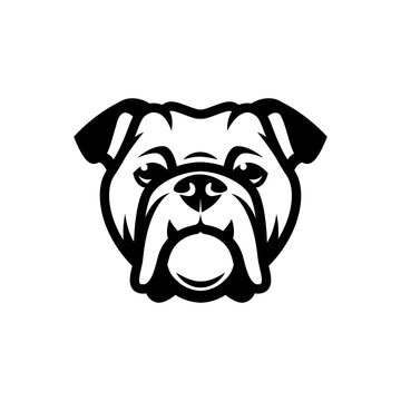 English bulldog face - isolated outlined vector illustration
