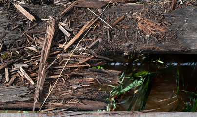 Splinters of wood of an old dilapidated wooden bridge