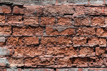 Old whitewashed brick wall.