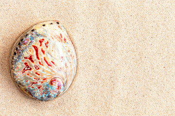 Fototapeta na wymiar Top view of colourful abalone seashell on white clean sand background, copy space